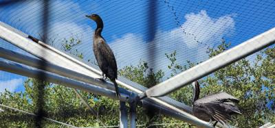 Last excursion of the day.  We stopped at a Wild Bird Sanctuary that operated purely on donations.  If you're in the are