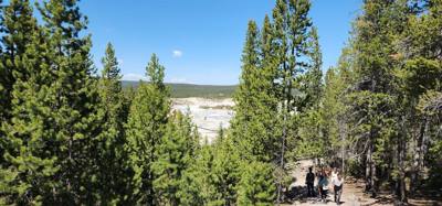 Last stop of day 1 in Yellowstone.