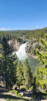 Beautiful falls and the Grand Canyon of Yellowstone.