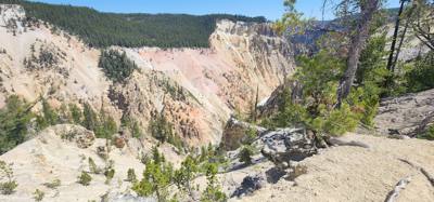Beautiful falls and the Grand Canyon of Yellowstone.