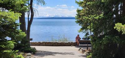 Canyon Village and Yellowstone Lake.  The ravens were everywhere and HUGE!  The lake was huge too.