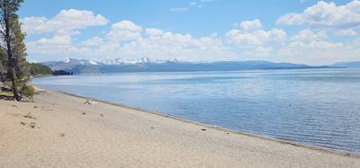 Canyon Village and Yellowstone Lake.  The ravens were everywhere and HUGE!  The lake was huge too.