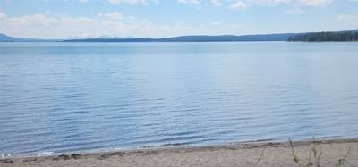 Canyon Village and Yellowstone Lake.  The ravens were everywhere and HUGE!  The lake was huge too.