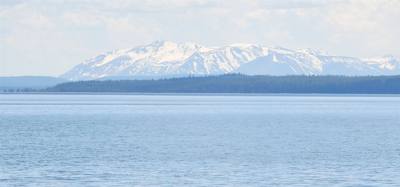 Canyon Village and Yellowstone Lake.  The ravens were everywhere and HUGE!  The lake was huge too.