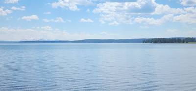 Canyon Village and Yellowstone Lake.  The ravens were everywhere and HUGE!  The lake was huge too.