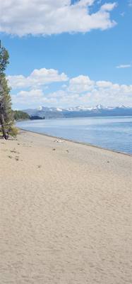 Canyon Village and Yellowstone Lake.  The ravens were everywhere and HUGE!  The lake was huge too.