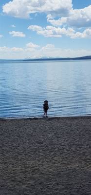 Canyon Village and Yellowstone Lake.  The ravens were everywhere and HUGE!  The lake was huge too.