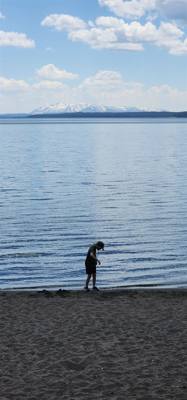 Canyon Village and Yellowstone Lake.  The ravens were everywhere and HUGE!  The lake was huge too.