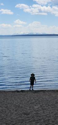 Canyon Village and Yellowstone Lake.  The ravens were everywhere and HUGE!  The lake was huge too.