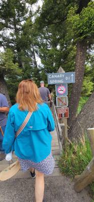 These springs weren't quite as dramatic as others but interesting all the same.  A lot of boardwalk and stairs.  If you 
