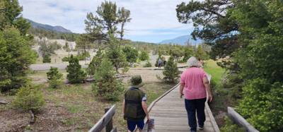 These springs weren't quite as dramatic as others but interesting all the same.  A lot of boardwalk and stairs.  If you 
