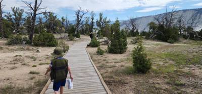 These springs weren't quite as dramatic as others but interesting all the same.  A lot of boardwalk and stairs.  If you 