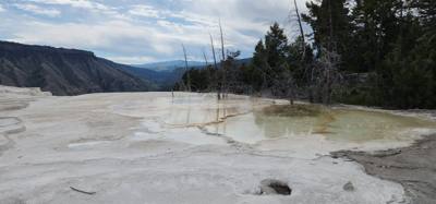 These springs weren't quite as dramatic as others but interesting all the same.  A lot of boardwalk and stairs.  If you 