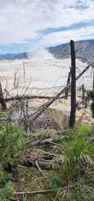 These springs weren't quite as dramatic as others but interesting all the same.  A lot of boardwalk and stairs.  If you 
