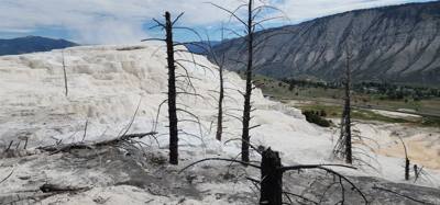 These springs weren't quite as dramatic as others but interesting all the same.  A lot of boardwalk and stairs.  If you 