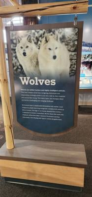 On our way from Island Park, ID to Victor, ID we decided to stop at the Grizzly and Wolf Center.  The wolves are pretty 