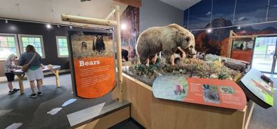 On our way from Island Park, ID to Victor, ID we decided to stop at the Grizzly and Wolf Center.  The wolves are pretty 