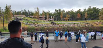 On our way from Island Park, ID to Victor, ID we decided to stop at the Grizzly and Wolf Center.  The wolves are pretty 