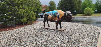 On our way from Island Park, ID to Victor, ID we decided to stop at the Grizzly and Wolf Center.  The wolves are pretty 