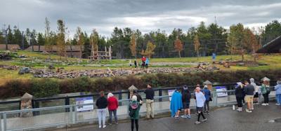 On our way from Island Park, ID to Victor, ID we decided to stop at the Grizzly and Wolf Center.  The wolves are pretty 