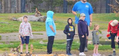On our way from Island Park, ID to Victor, ID we decided to stop at the Grizzly and Wolf Center.  The wolves are pretty 