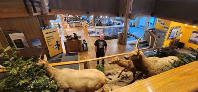First stop this morning was the National Elk Refuge.  They said in the winter about 9600 to come down to the refuge.