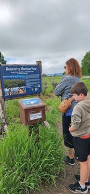 Quick stop to see Mormon Row over by the Tetons.  Pretty interesting.  Avery was more interested in the ground squirrels