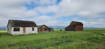 Quick stop to see Mormon Row over by the Tetons.  Pretty interesting.  Avery was more interested in the ground squirrels