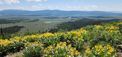 Took a side road to the Signal Mountain Summit.  Great views as with everywhere around here.  The mobile phone tower mig