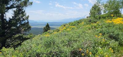 Took a side road to the Signal Mountain Summit.  Great views as with everywhere around here.  The mobile phone tower mig