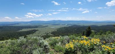 Took a side road to the Signal Mountain Summit. Great views as with everywhere around here. The mobile phone tower mig