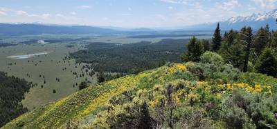 Took a side road to the Signal Mountain Summit. Great views as with everywhere around here. The mobile phone tower mig
