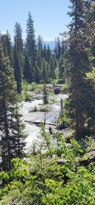 Decided to get the juices flowing this morning with a hike around Jenny Lake. Technically half way around. Took a boat