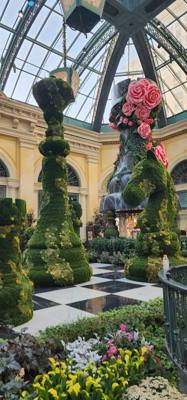 This was the conservatory in the Bellagio.  Pretty cool.