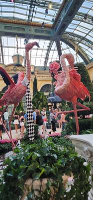 This was the conservatory in the Bellagio.  Pretty cool.