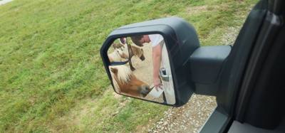 I don't know what it is about these little roadside animal attractions but they're hidden gems.  You get up close with t