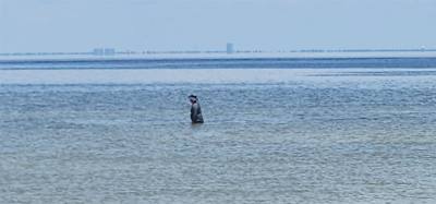 Beach Day at Ship Island