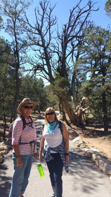 Grand Canyon, Jerome, and Tuzigoot...in no particular order.