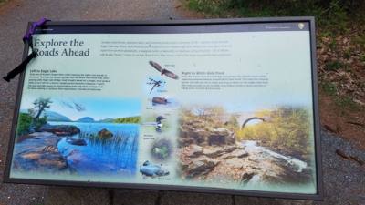 We took a hike around Eagle Lake in Acadia.  Utilized the carriage trails for part of it.  At one point we got off the b