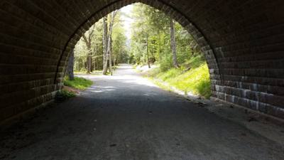 We took a hike around Eagle Lake in Acadia.  Utilized the carriage trails for part of it.  At one point we got off the b