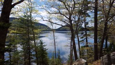 We took a hike around Eagle Lake in Acadia.  Utilized the carriage trails for part of it.  At one point we got off the b