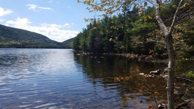 We took a hike around Eagle Lake in Acadia.  Utilized the carriage trails for part of it.  At one point we got off the b