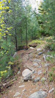 We took a hike around Eagle Lake in Acadia.  Utilized the carriage trails for part of it.  At one point we got off the b