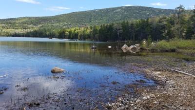 We took a hike around Eagle Lake in Acadia.  Utilized the carriage trails for part of it.  At one point we got off the b