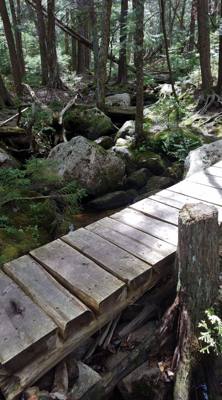We took a hike around Eagle Lake in Acadia.  Utilized the carriage trails for part of it.  At one point we got off the b