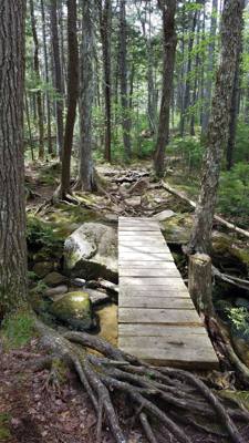 We took a hike around Eagle Lake in Acadia.  Utilized the carriage trails for part of it.  At one point we got off the b