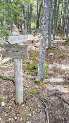 We took a hike around Eagle Lake in Acadia.  Utilized the carriage trails for part of it.  At one point we got off the b
