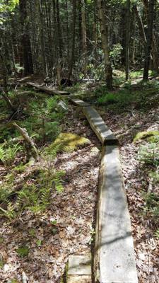 We took a hike around Eagle Lake in Acadia.  Utilized the carriage trails for part of it.  At one point we got off the b