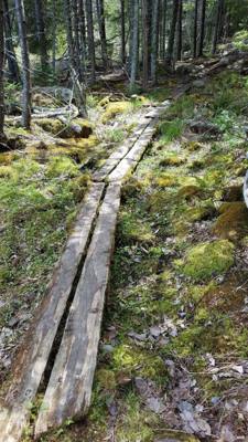 We took a hike around Eagle Lake in Acadia.  Utilized the carriage trails for part of it.  At one point we got off the b
