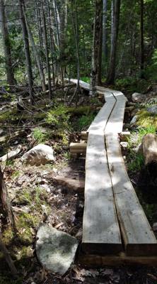 We took a hike around Eagle Lake in Acadia.  Utilized the carriage trails for part of it.  At one point we got off the b